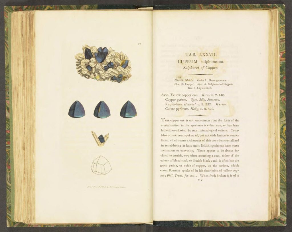 Illustration d'un sulfure de cuivre dans l'ouvrage British & Exotic Mineralogy de James Sowerby