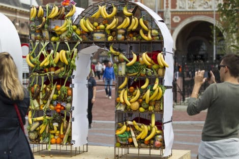 Damn Food Waste Amsterdam