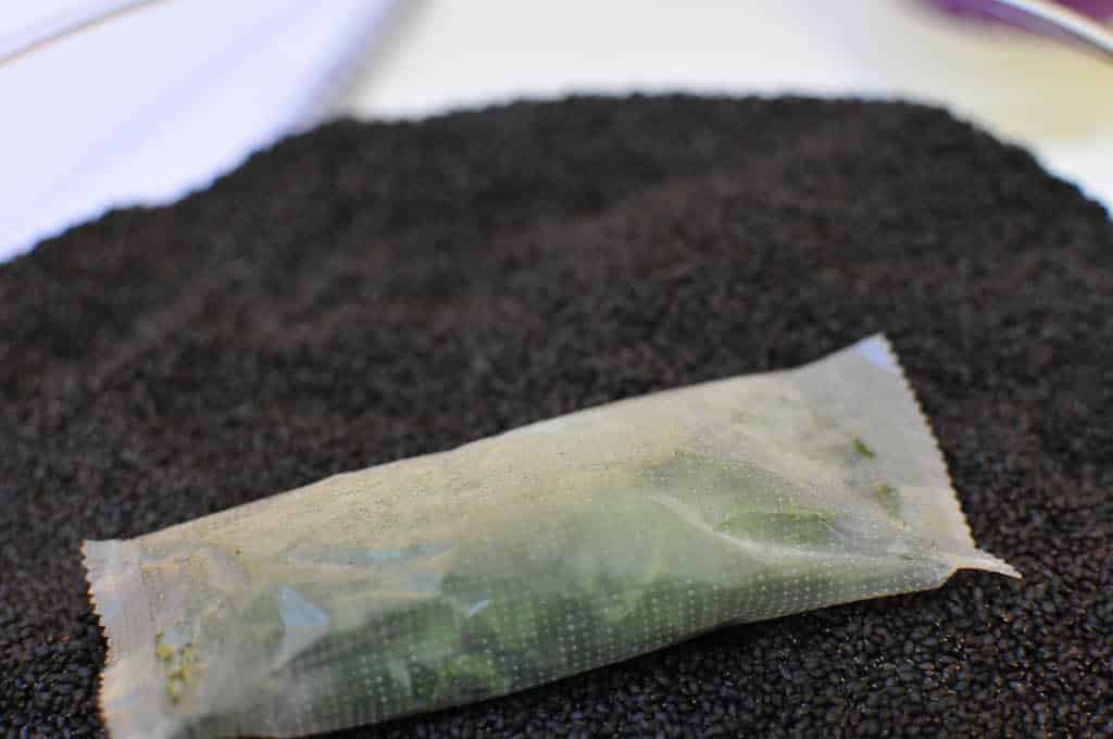 sachet de menthe gelée à infuser