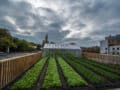 Illustratie van onze post "Marketingstrategie: wat is de rol van de moestuin van Delhaize"