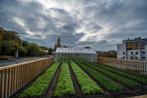 La ferme urbaine de Delhaize un jour de mauvais temps