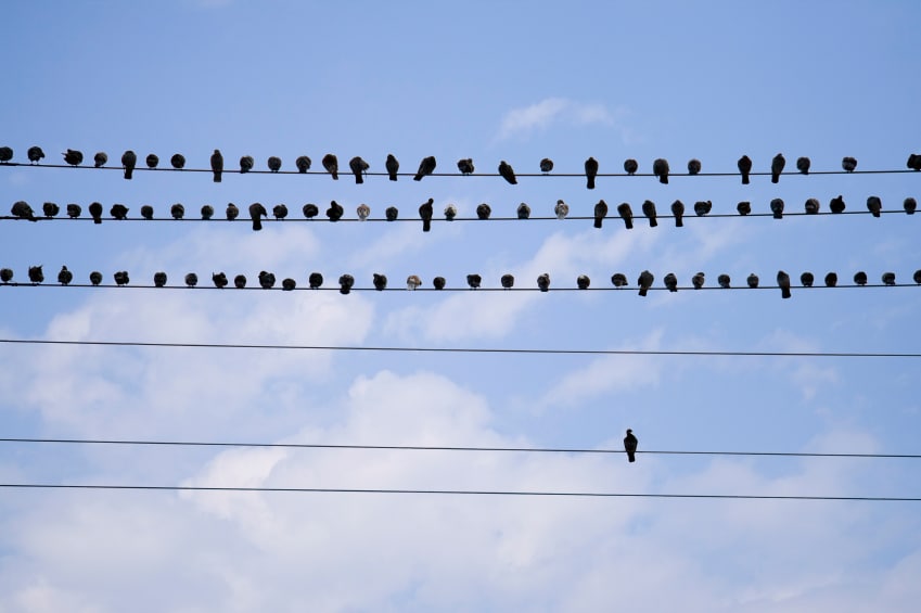 Three criteria to differentiate good and bad prospects