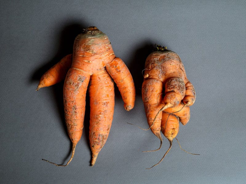 Minder goed uitziend fruit en groenten zijn een manna voor de handelszaken